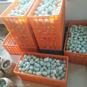 ����������� ��������� ������������� ���������һ�䷿����Ǯ