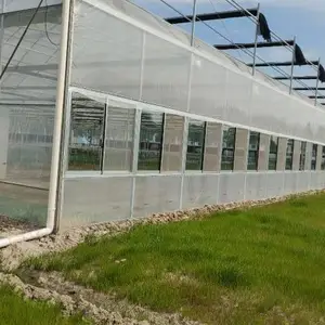 江西蔬菜大棚搭建 欢迎来电 厚本温室供应