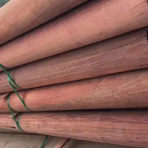 ��ɳ����������ľ���� ���޺���ľ��ľ