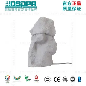 DSPPA��ʿ�� DSP640 �����ˮʯͷ�ݵ�ƺ�������ȶ�ѹ�����23W