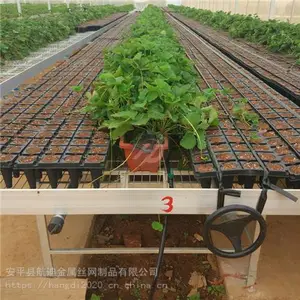 提供大棚苗床定做方案 温室移动苗床生产加工