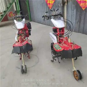�³����ʹ�п��������� �๦����԰������ ���῾����ֲ�������������ٻ�