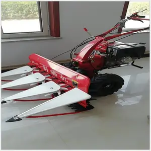 �ַ�ʽ��ޣ�����ո�������� ��������׽ոѸ�ɹ�� �����ո�
