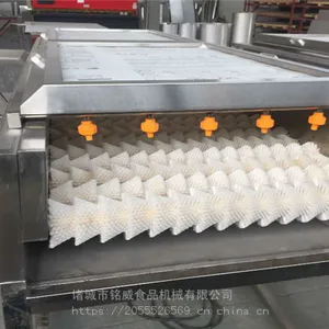 大枣清洗机 鲜枣清洗机生产厂家