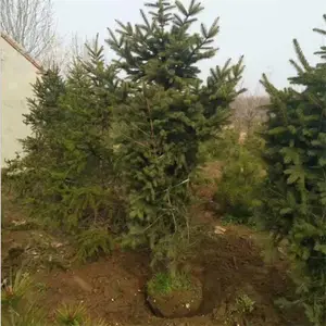 1.5����ɼ2����ɼ--2.5����ɼ 3��4��5����ɼ-6����ɼ