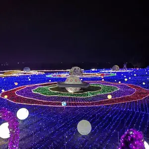 ���ڽ��ջ��ƶ��ƴ��͹������ﻧ��ʵƵƹ�����͵�����ҹ��չ��