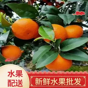 �� ��ˮ���� Ӧ �� ���� ��ˮ�������г����;Ƶ� ʳ�� ��λˮ������