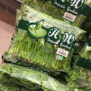 河北专业生产优质双电晕双面防雾包装膜
