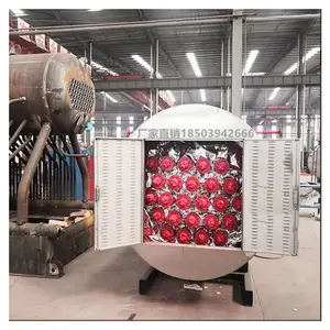 WDR�͵����������¯ 720kw��ʽ���ܵ�ӹ�¯