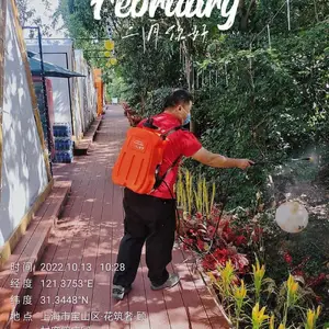 专业杀白蚁/清理白蚁/白蚁***消杀/提供灭老鼠灭蟑螂灭跳蚤预防