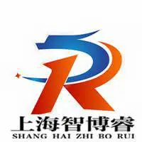 上海智博睿电动阀门有限公司