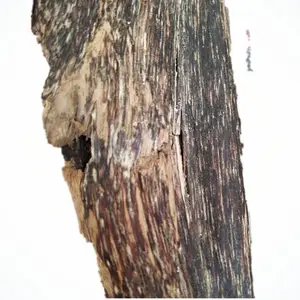 货源产地直售 上好黑油虫漏沉香味道清甜花香 打粉熏香专用虫漏香