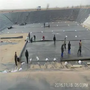 ������ֳ����Ĥ��������