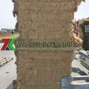 棕榈丝进口专业清关代理报关报检仓储物流一条龙服务