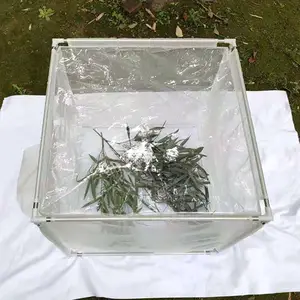 �����������֧��ɴ������Ӭ�������������������ɸ�͸����