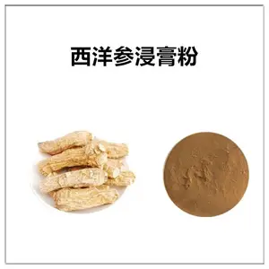 西洋参浸膏粉 萃取粉 棕黄色粉末 喷雾干燥 沃特莱斯生物