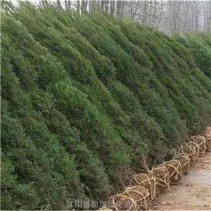 �����̻����� ������������μ���ܱ��������繩Ӧ��