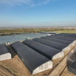 �������Ҵ������Բ�ܴ����չ����Ҵ�����Ʋ��ʼ�̿ɶ���