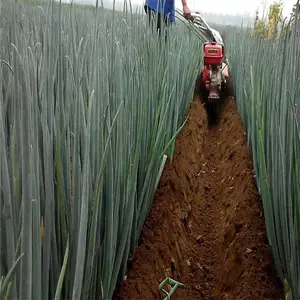 �ַ�����������Ч����ô�� չ����԰����������Ǯ