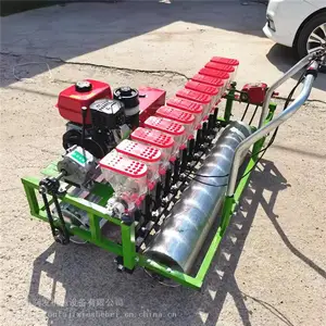 ��������߲˾����� ���С�����߲˲��ֻ� С��ҩ�Ľ۹���˾�����