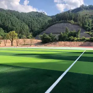 新疆进口足球场人工草坪环保 十年老厂