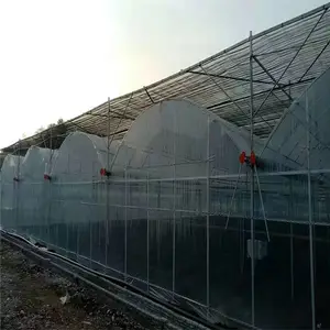 �㶫�Ƹ�����ܳ��� ���ܴ��� ũҵ���Ҵ��� �߲˴��� ����ֹܳ�