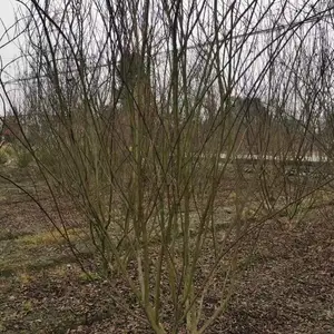 ��ޱ�������� �� �˸�1.35����ޱ������ ��ޱ�����ӹڷ�2�׶�