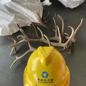 ����˹¹�ǽ��ڱ��ش�����˾,��ҵ���¹��������Ϻ�����