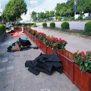 ��ɽ ����ľ��ֲ������϶��� ��԰��ֲʵľ���� ʵľ��ľ�����Ͻ���