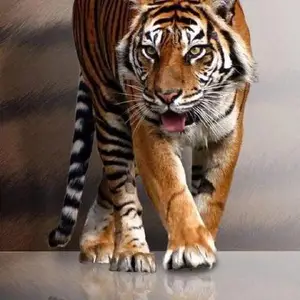 ���涯��������˾����
