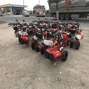 ��԰���������� �๦����԰������ �ְ���ת�����