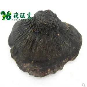 ����Ұ��������֥��ҩ���������ѡ����ɫ�N��