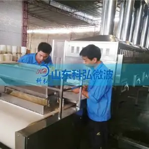 带式微波熟化设备电话-科弘微波-荆州微波熟化设备电话