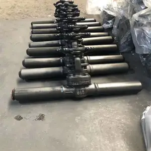 Z41Y-150LB DN15 ����͸ַ���բ�� �͸�ѹ����բ����ѹШʽֹ�ط�