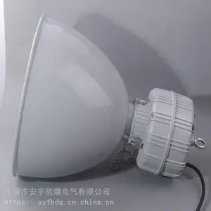 ***FAD-L-L100防水防尘防腐灯金卤灯100W吸顶式,护栏式