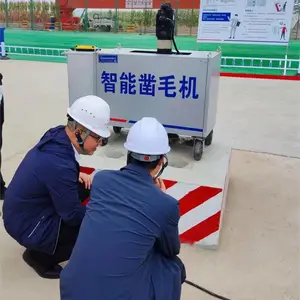 自动凿毛机 垫石自动凿毛机