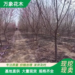 ���س��� ɽ�� ��԰����������ľ С���쾰�̻���