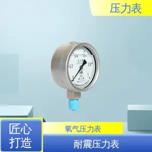 法兰式压力表 EC系列 规模生产 支持定制 指针式 双显示 天康