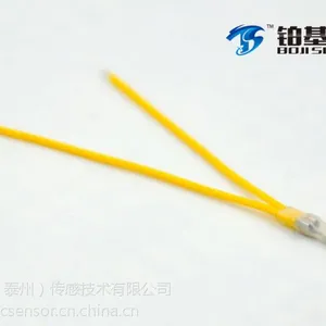 德国进口超小型铂热电阻PT100贴片温度传感器