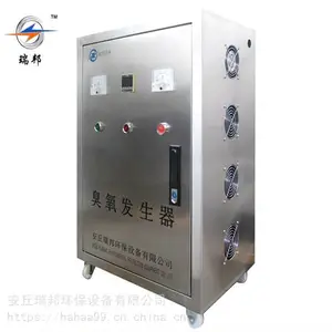 安丘瑞邦环保 杀菌消毒防疫 小型可移动臭氧发生器
