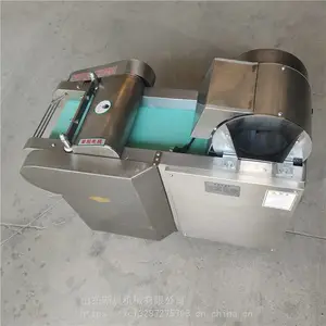 �³��綯�����ж��� ����ͷ������˿�� �����ܲ���Ƭ��������Ƭ��