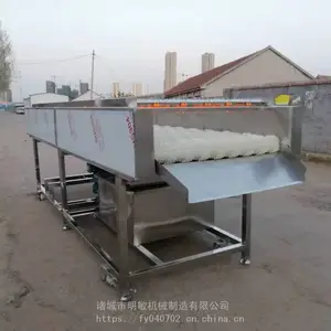 ������ĵ����ϴ�� ��ѹ���������ϴ�� ĵ��ëˢ��ϴ�� ����������Ч***