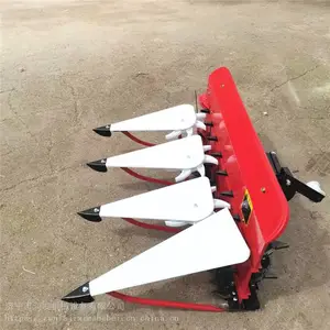 ����ʽ����«έ��� ˮ��������ɹ�� С������ո��