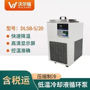 DLSB-5/20低温冷却液循环泵 恒温低温循环机 恒温冷却泵