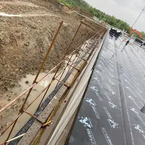 河北衡水 DPS永凝液防腐防水涂料 厂家直供