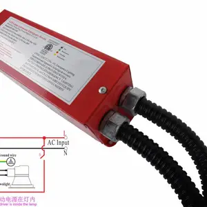 DF牌220V交流电压输出50W-100W足功率led灯消防应急电源