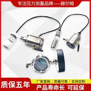 德国汉姆HM210带软件NB-IoT 4G WiFi 智能无线液位传感器