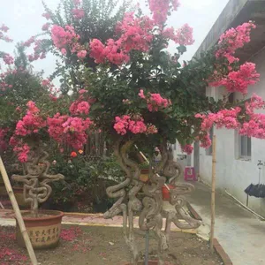 ��ޱ������ ��ϲ���ơ��������⡢��»��ϲ�ȵ������ֳ���