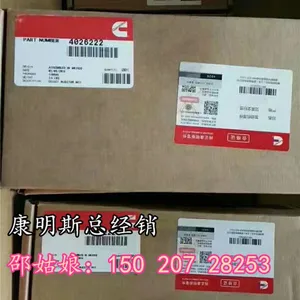 ���ڸۿ�QSM������4928517�����豸