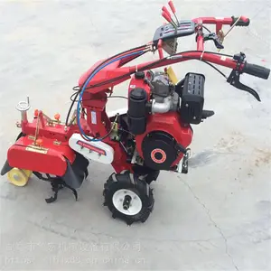 ��խ�ɵ����������/��п�������������